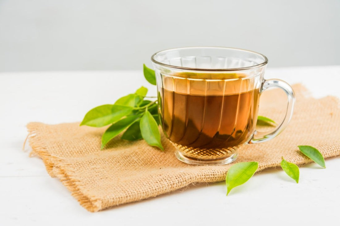 Les 10 bienfaits du thé vert pour votre santé -Bongobio - BongoBio